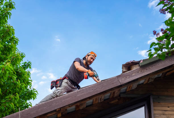 Best Roof Ventilation Installation  in Eyota, MN
