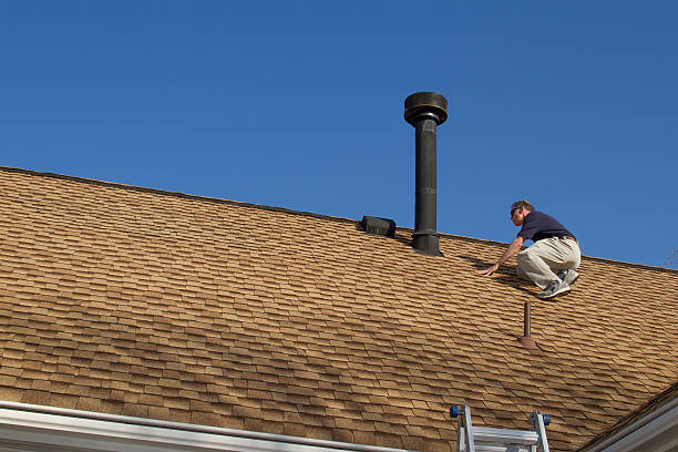 Best Roof Insulation Installation  in Eyota, MN